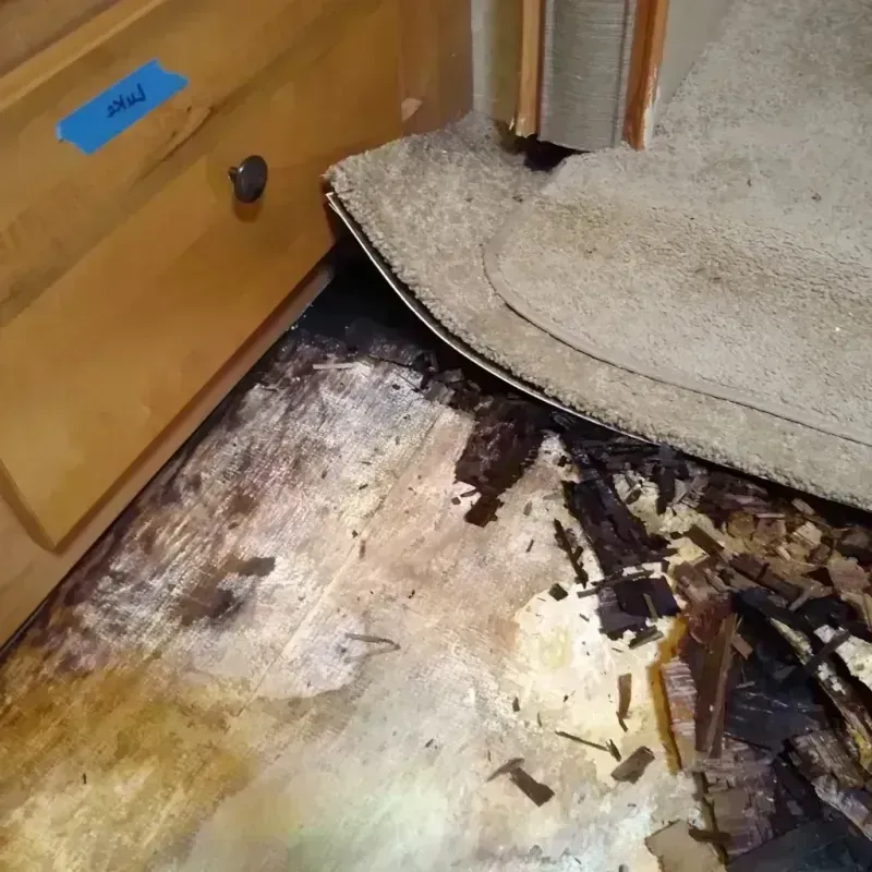 Wood Floor Water Damage in Newton, NJ